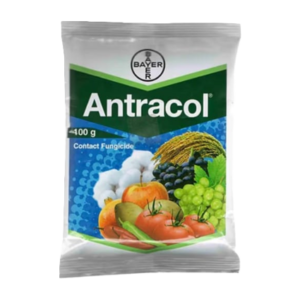 Antracol Fungicide (Propineb 70% WP)