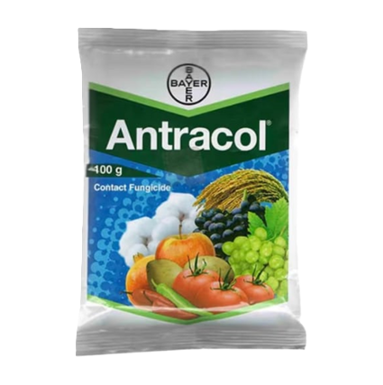 Antracol Fungicide (Propineb 70% WP)