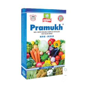 Multiplex Pramukh 19:19:19 Water Soluble Fertilizer (1 kg)