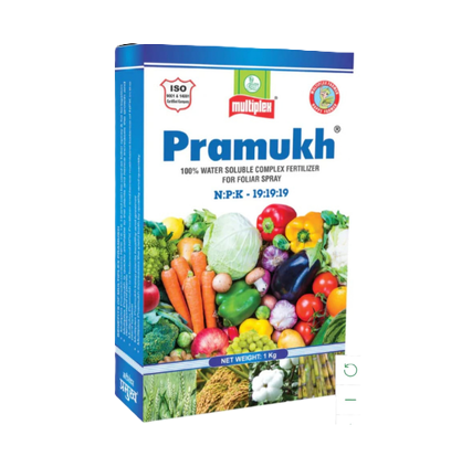 Multiplex Pramukh 19:19:19 Water Soluble Fertilizer (1 kg)